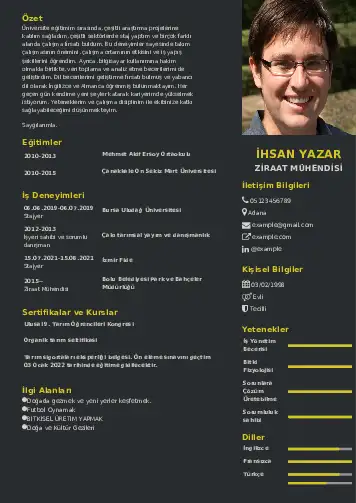cv indir